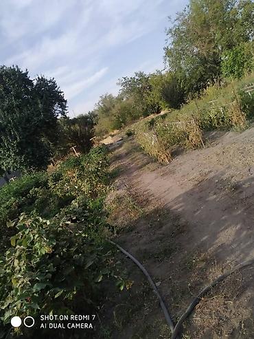 Продажа коттеджей и домов: Продаю дом. Село Беловодское, находится по улице Фрунзе 25. (Главная — 8