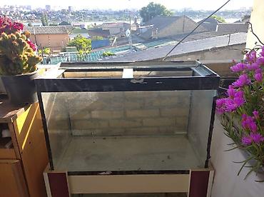akvarium satilir: Dördbucaq akvarium, Boş, 90 l, Ünvandan götürmə — 6