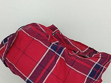 taylor wright shirts: Jean Louis Francois, Koszula damska, rozmiar S — 7