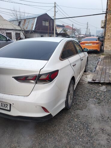 Hyundai: Hyundai Sonata: 2019 г., 2 л, Автомат, Гибрид, Седан — 3