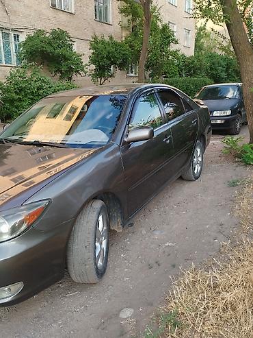 Toyota: Toyota Camry: 2004 г., 2.4 л, Автомат, Бензин, Седан — 7