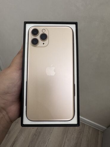 Apple iPhone: IPhone 11 Pro, Скидка 10%, Б/у, 64 ГБ, Natural Titanium, Чехол, Коробка, 100 %