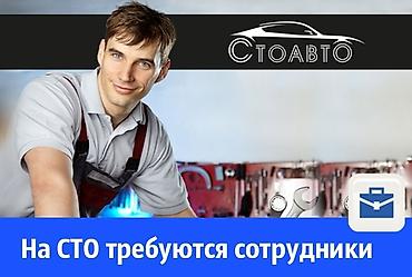 автомобильные сварочные работы: Требуется работник, Оплата: Ежедневно, Менее года опыта, Питание — 2