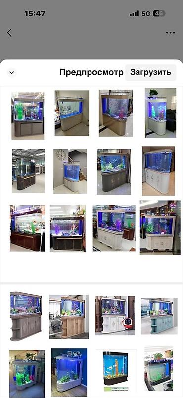 fish eye: Аквариумы с тумбой и декоративной подсветкой - Разнообразие форм и — 4
