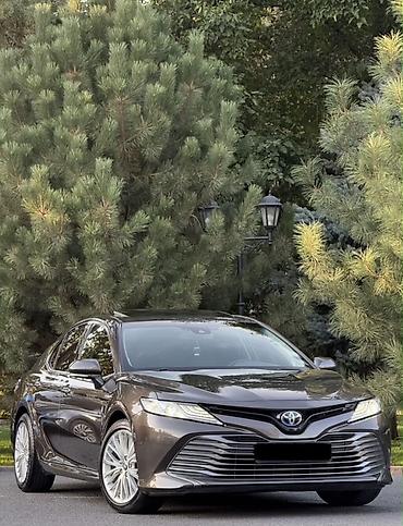 275 55 20: Toyota Camry: 2020 г., Автомат, Гибрид, Седан — 2
