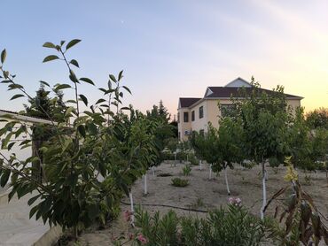 Həyət evləri və villaların satışı: 9 otaq, 700 kv. m, Yeni təmirli — 14