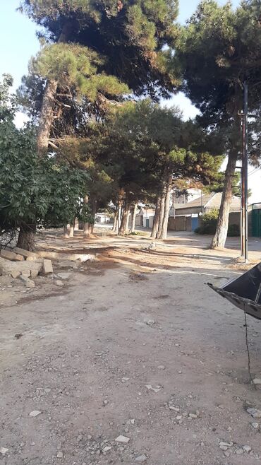 Torpaq sahələrinin satışı: 11 sot, Tikinti, Mülkiyyətçi, Kupça (Çıxarış) — 8