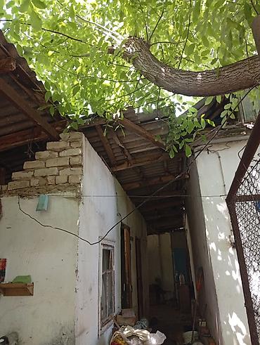 Продажа коттеджей и домов: Продаем дом 🏠 с двумя участками земли. Две красные книги. ✓Торг  — 11