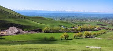 продаю дом дёшево: Для сельского хозяйства, Красная книга