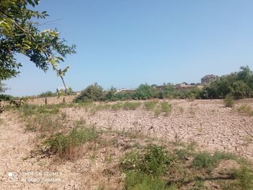 продажа недвижимости в баку: 6 sot, Tikinti, Mülkiyyətçi, Kupça (Çıxarış)