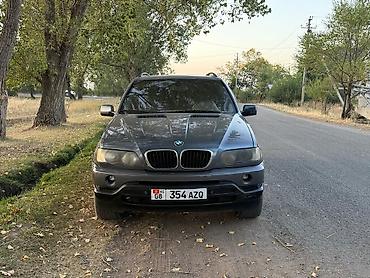 1 9 тди: BMW X5: 2003 г., 3 л, Автомат, Дизель, Кроссовер — 3