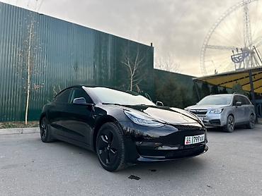 велтмейстер электромобил: Tesla Model 3: 2019 г., Автомат, Электромобиль, Седан — 7