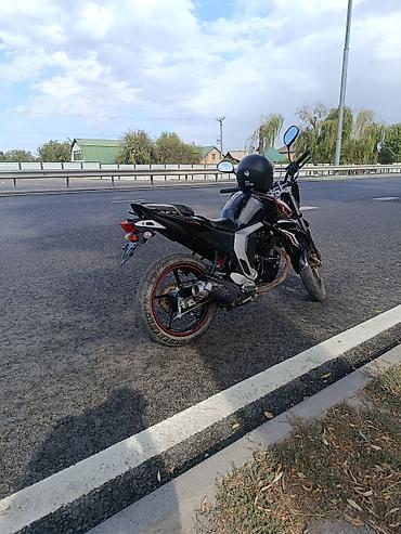 продам титан: Спортбайк Kawasaki, 300 куб. см, Бензин, Взрослый, Б/у — 3