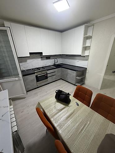 один владелиц: 1 комната, 47 м², Ала-Арча ТРЦ Элитка, 1 этаж, Евроремонт — 4