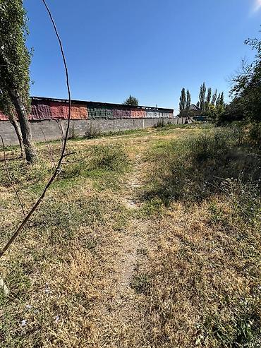 4 соток, Для строительства, Красная книга at lalafo.kg — 3 4 соток, Для строительства, Красная книга — 3