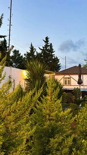 Bağ evlərinin satışı: Bakı, Zirə qəs., 250 kv. m, 7 otaqlı, Hovuzlu, Kombi, Qaz, İşıq — 4