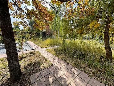 Продажа дач: Продаётся загородный дом у реки Аламедин, с. Таш-Мойнок. Дом — 24