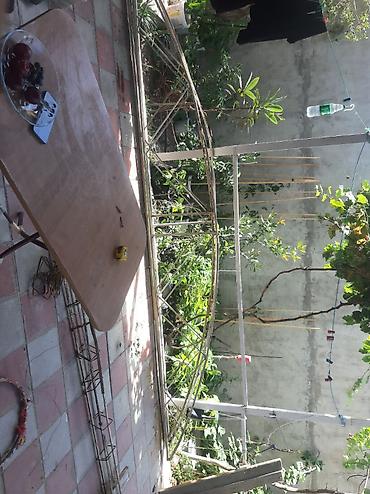Bağ üçün metal tağ/üstörtü karkası 4 ededdir. Biri 30 azn - Material lalafo.az -da Bağ üçün metal tağ/üstörtü karkası 4 ededdir. Biri 30 azn - Material