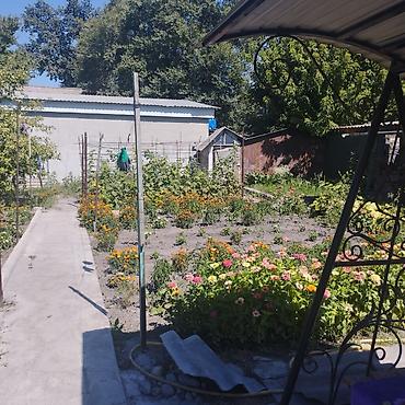 ежемалину: Продается дом с участком и баней, село пригородное Пригородное — 8