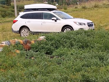 Subaru Outback: 2018 г., 2.5 л, Вариатор, Бензин, Универсал