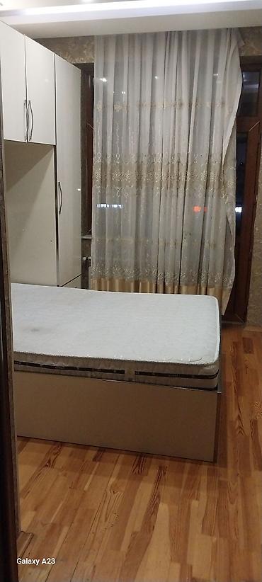2 otaqli evler: Mənzilin icarəsi/təklif olunan yaşayış sahəsi 60kv tam temirli — 2