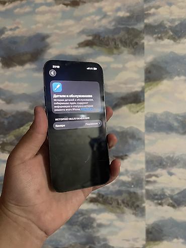 мини камера ош: IPhone 13 Pro, Б/у, 128 ГБ, Графит, Чехол — 1