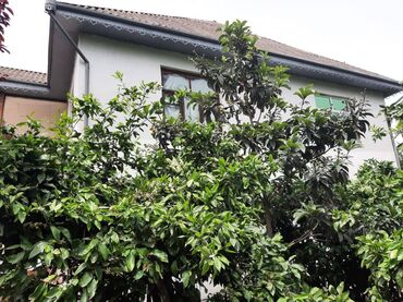 Həyət evləri və villaların satışı: 6 otaqlı, 165 kv. m — 6