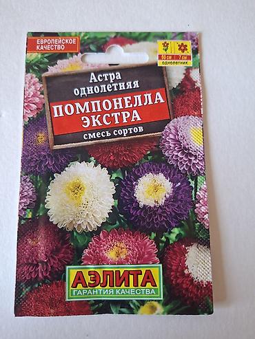 kameliya gulu: Məhsul: Mərcanotu (Margaritka) toxumları – 3 fərqli qarışıq Brend — 5