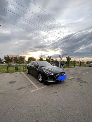 купить машину хендай солярис: Hyundai Sonata: 2017 г., 2 л, Автомат, Газ, Седан