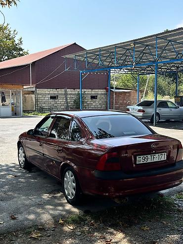 guzgu: Opel Vectra: 0.8 l | 1998 il 260 km Sedan — 6