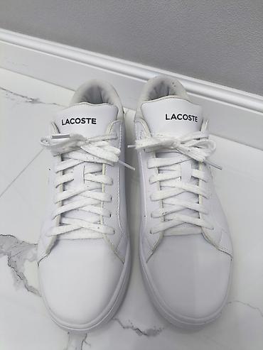 dunk low: Мужские кроссовки, 43, Lacoste, Б/у, цвет - Белый, Самовывоз — 2