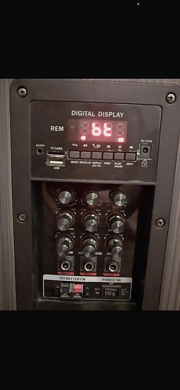 philips musiqi: Daşınan karaoke səs sistemi – LED işıqlı böyük dinamik və 2 ədəd — 2