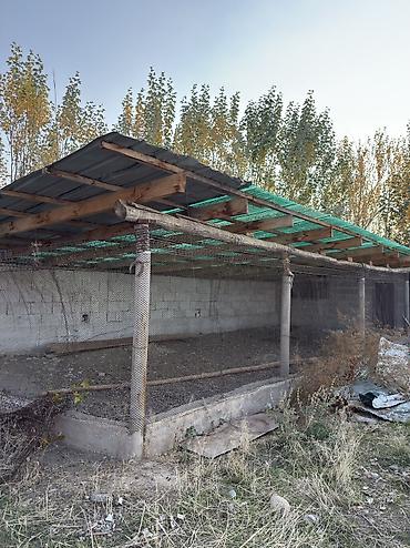 Продажа участков: 177 соток, Для бизнеса, Договор купли-продажи, Красная книга, Тех паспорт — 5