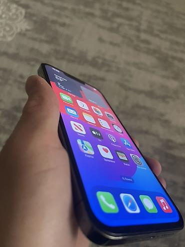 Apple iPhone: IPhone 13 Pro Max, 128 ГБ, Графит — 9
