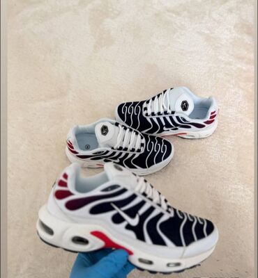 Ostalo: 36 do 46, zavisi od modela
3300 — 6