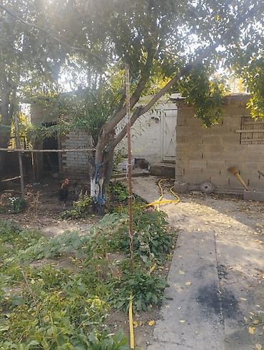 Продажа коттеджей и домов: Продается дом жилой с отоплением умная печка сарай Баня в принципе со — 13