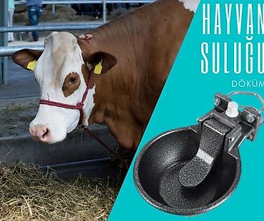 cuce ucun yem qablari: Su qabları Müxtəlif Kənd təsərrüfatı heyvanları üçün Çuqun Dəmir — 3
