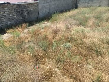 Torpaq sahələrinin satışı: 25 sot, Tikinti, Mülkiyyətçi, Bələdiyyə