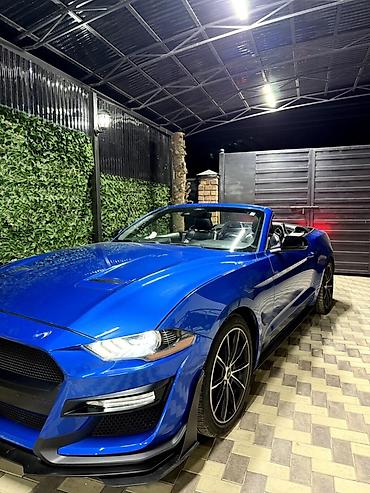 Ford: Ford Mustang: 2020 г., 2.3 л, Автомат, Бензин, Кабриолет — 3