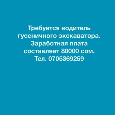 требуется страител: Требуется водитель гусеничного экскаватора. Заработная плата