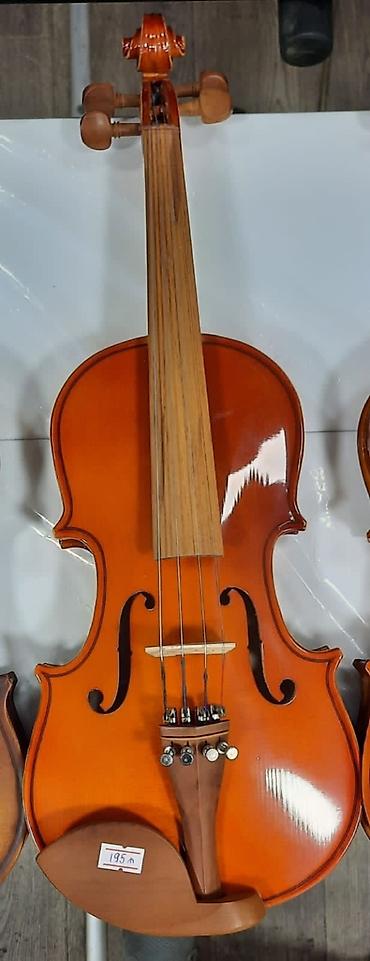 Skripkalar: Skripka, violin Rast musiqi alətləri mağazası. Əhmədli, İnşaatçılar — 1