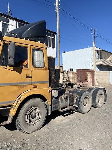 daf 2013: Тягач, МАЗ, Без прицепа — 2