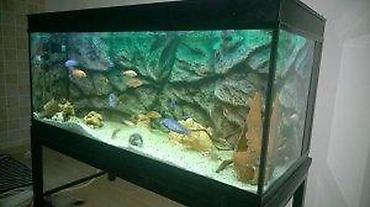 Rasveta: RGB 5050 LED TRAKA IP65 (SILIKONSKA) VODOOTPORNA | *AKO IMATE — 22