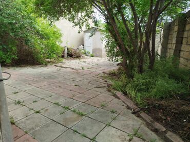 Torpaq sahələrinin satışı: 1 sot torpaq 12mkr arxası Sumqayıt. Sumqayıtda 12 mkr arxasındakı