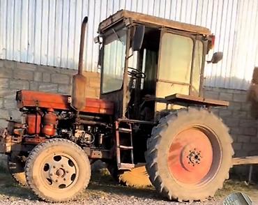 Traktorlar: Traktor Belarus (MTZ) 28, 1986 il, 28 at gücü, motor 0.2 l, İşlənmiş — 2