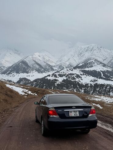 тойота витц: Toyota Camry: 2005 г., 2.4 л, Автомат, Бензин