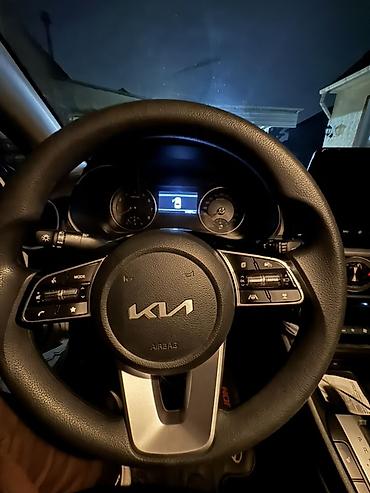 17 225 x 55: Kia Cerato: 2021 г., 1.6 л, Вариатор, Бензин, Седан — 9