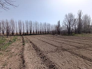 Продажа домов: Дом, 78 м², 3 комнаты, Собственник, Старый ремонт at lalafo.kg — 6 Продажа домов: Дом, 78 м², 3 комнаты, Собственник, Старый ремонт — 6