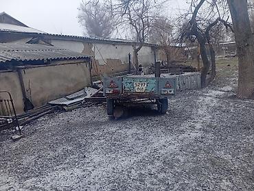 Audi: Audi 100 с прицепом Avant (C3) универсал, примерно конец 80-х – начало — 8