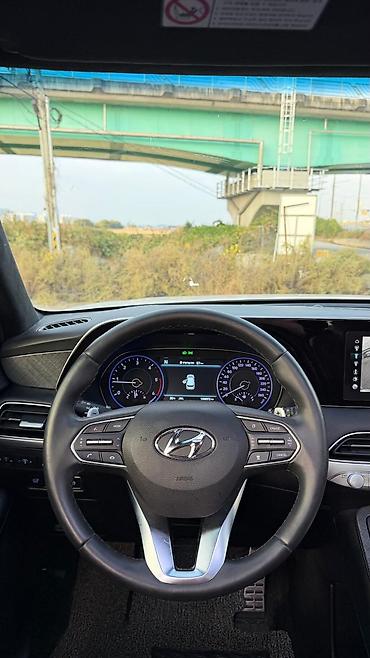 Hyundai: Hyundai Palisade: 2020 г., Кроссовер — 20